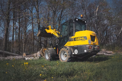 2026 Gehl AL550 43