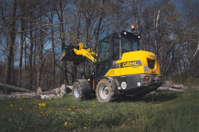 2026 Gehl AL550 46