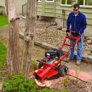 2026 Toro Toro SGR-13 Stump Grinder (22615) 2